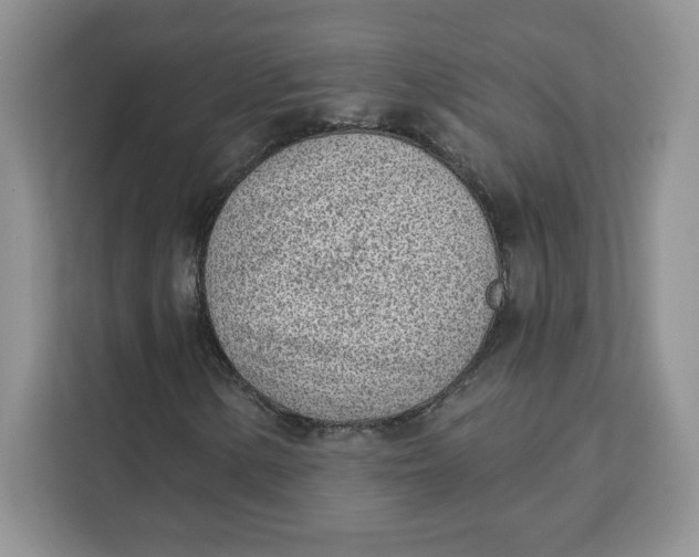 X0000111131154200907141205