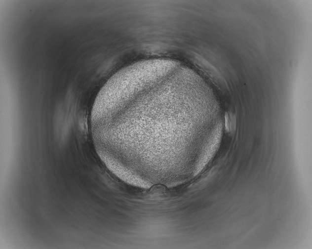 X0000111131155200907141205