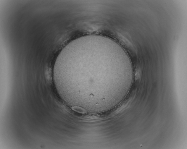 X0000111131156200907141205