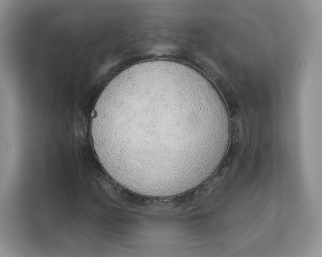 X0000111131158200907141205