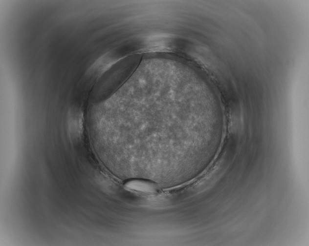 X0000111131161200907141205