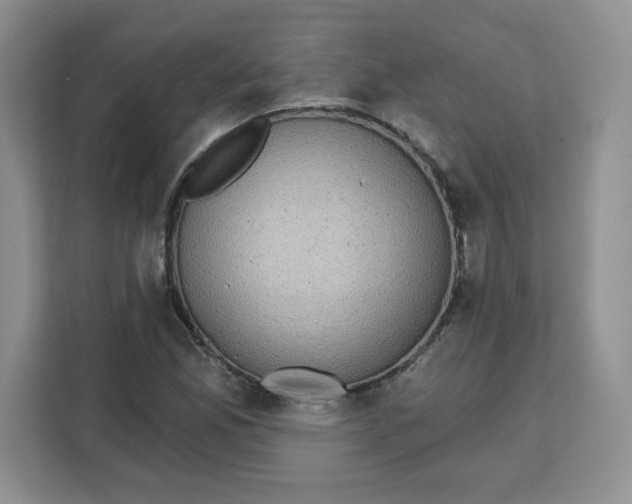 X0000111131165200907141205
