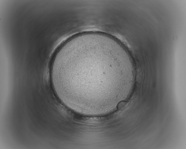 X0000111131167200907141205