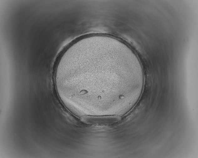 X0000111131168200907141205