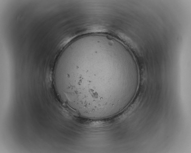X0000111131169200907141205