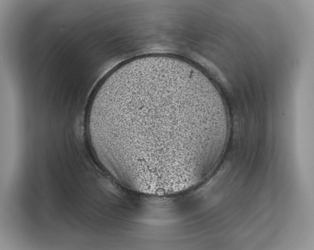 X0000111131170200907141205