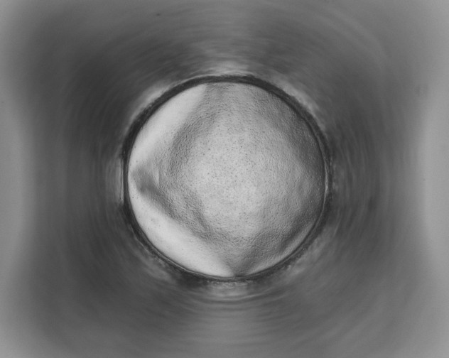 X0000111131171200907141205