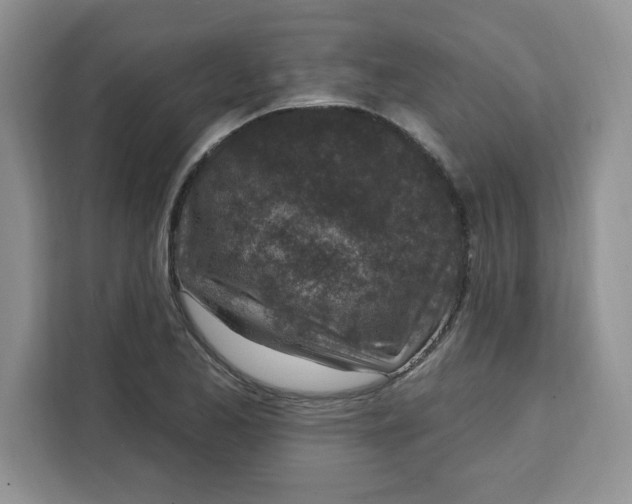 X0000111131173200907141205