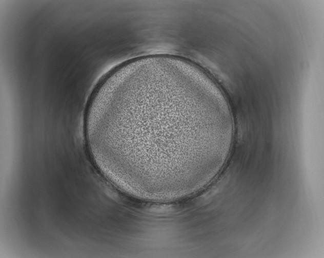 X0000111131174200907141205
