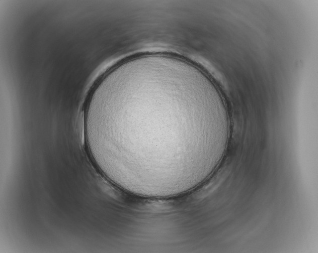 X0000111131175200907141205