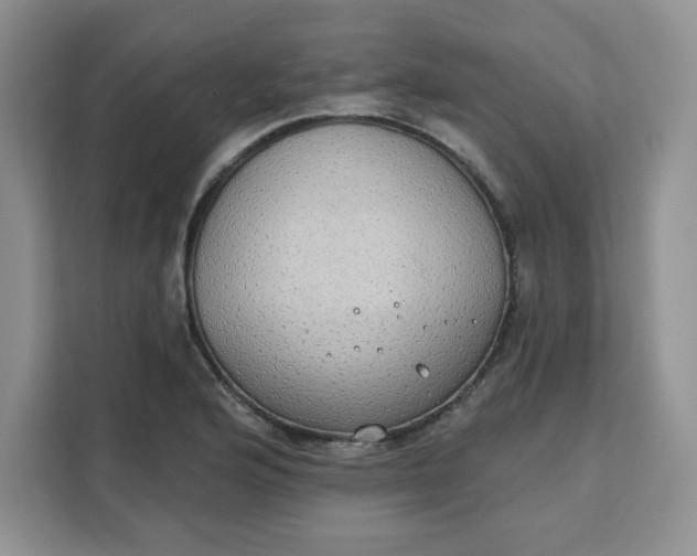 X0000111131176200907141205