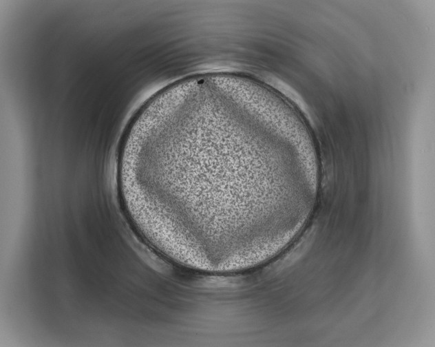 X0000111131179200907141205