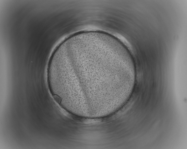 X0000111131183200907141205