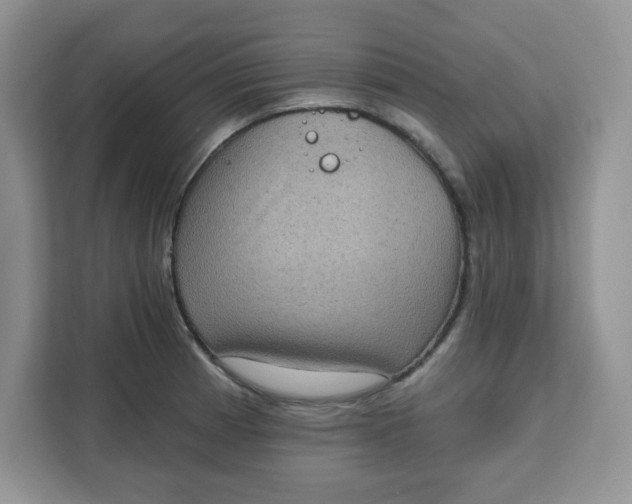 X0000111131185200907141205