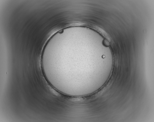 X0000111131186200907141205