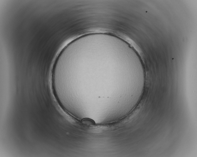 X0000111131187200907141205