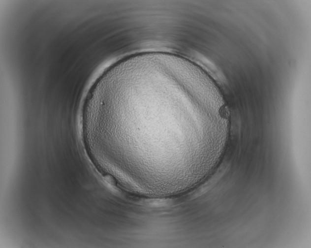 X0000111131188200907141205