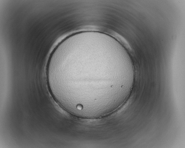 X0000111131192200907141204