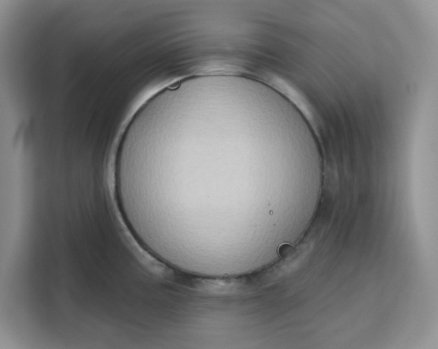X0000111131195200907141204