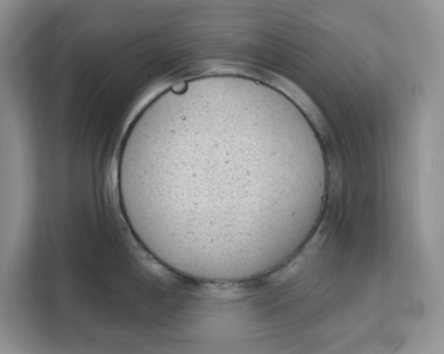 X0000111131198200907141204