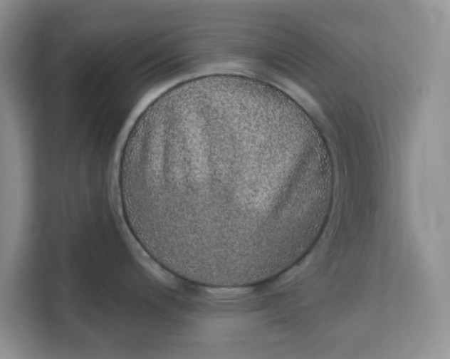 X0000111131200200907141204