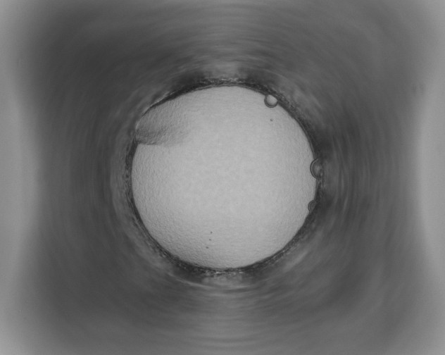 X0000111131201200907141204