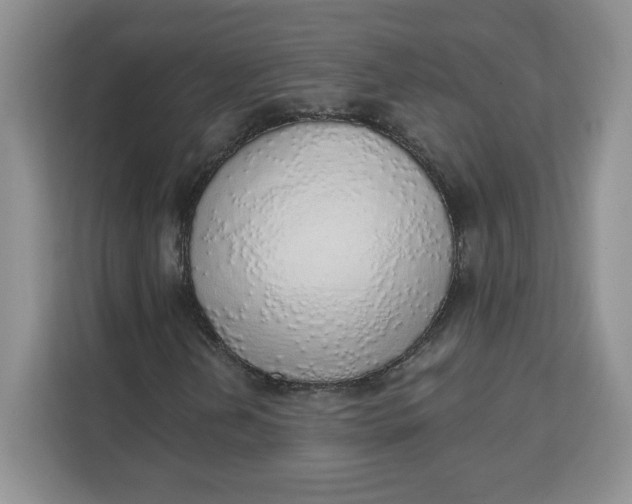 X0000111131202200907141204