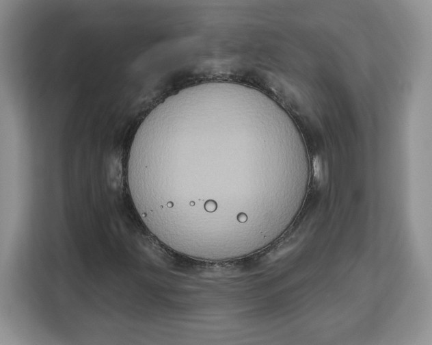 X0000111131203200907141204
