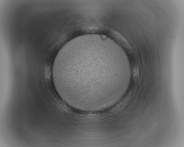 X0000111131204200907141204