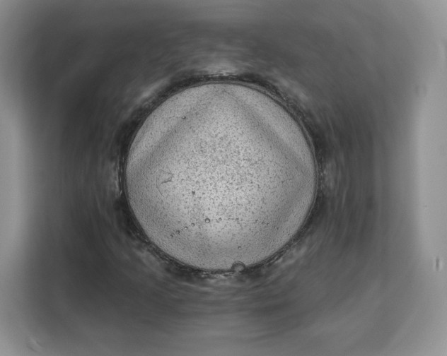 X0000111131205200907141204