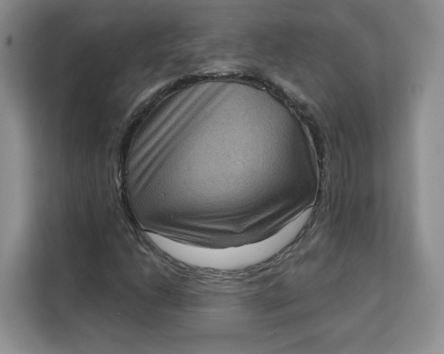 X0000111131206200907141204