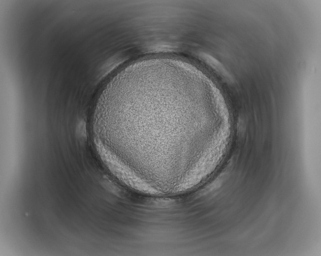 X0000111131209200907141204