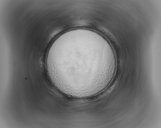 X0000111131210200907141204