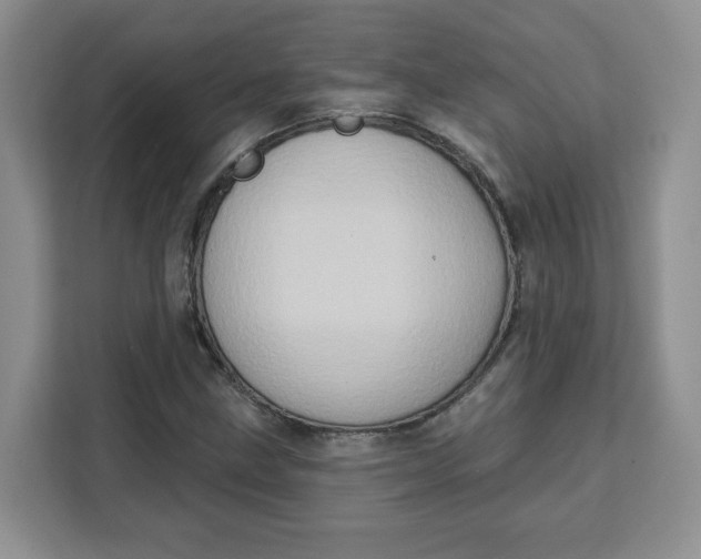 X0000111131211200907141204