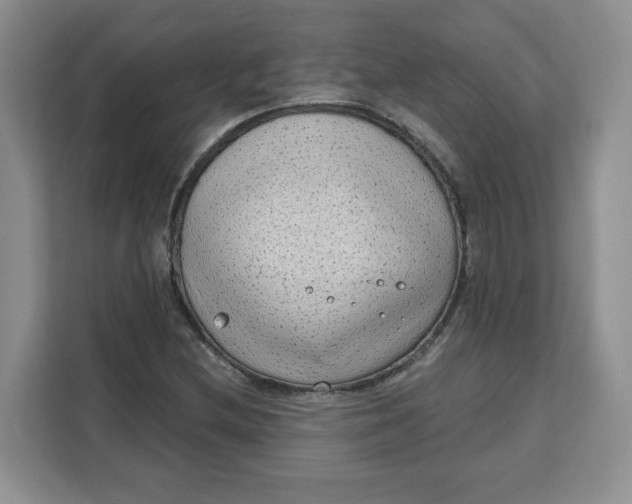 X0000111131212200907141204