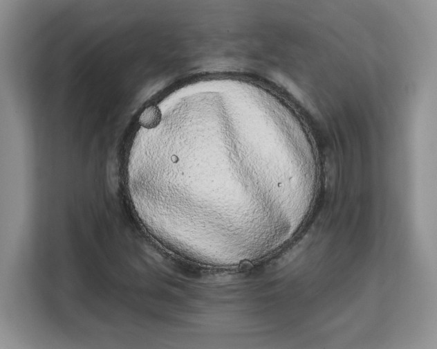 X0000111131213200907141204