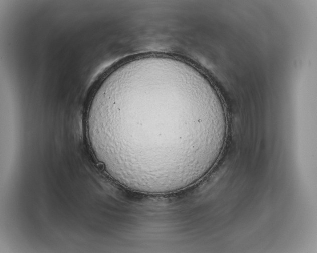 X0000111131214200907141204