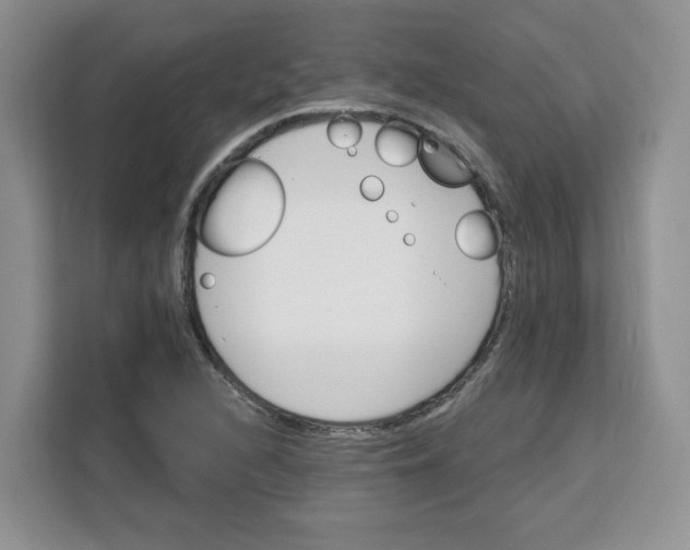 X0000111131216200907141204