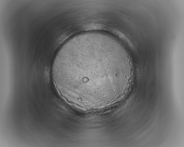 X0000111131217200907141204