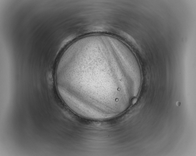 X0000111131218200907141204
