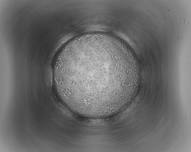 X0000111131219200907141204