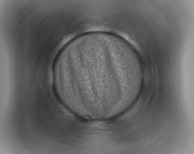 X0000111131221200907141204