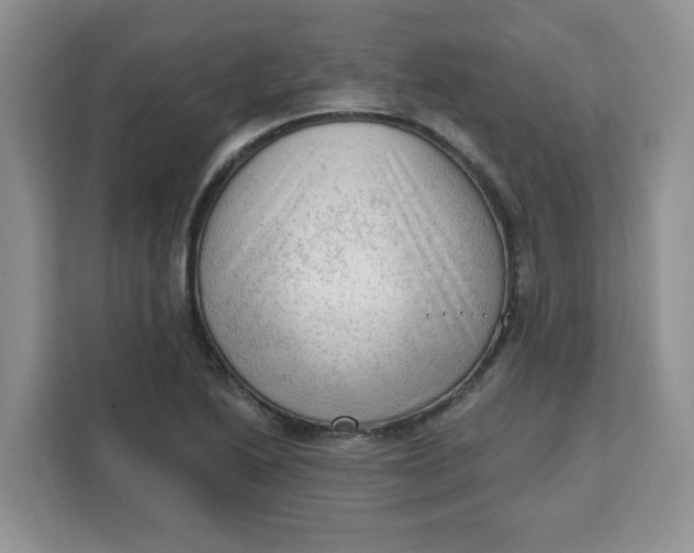 X0000111131222200907141204