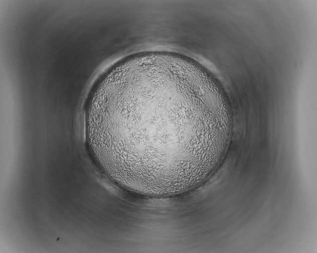 X0000111131223200907141204