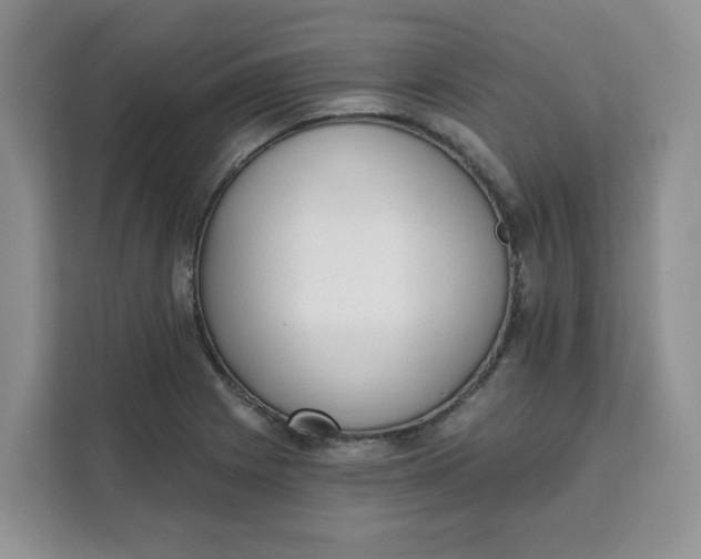 X0000111131225200907141204