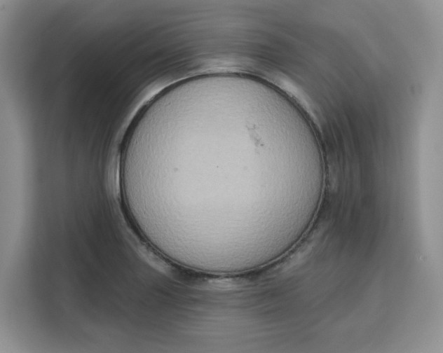 X0000111131227200907141204