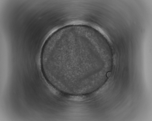 X0000111131229200907141204