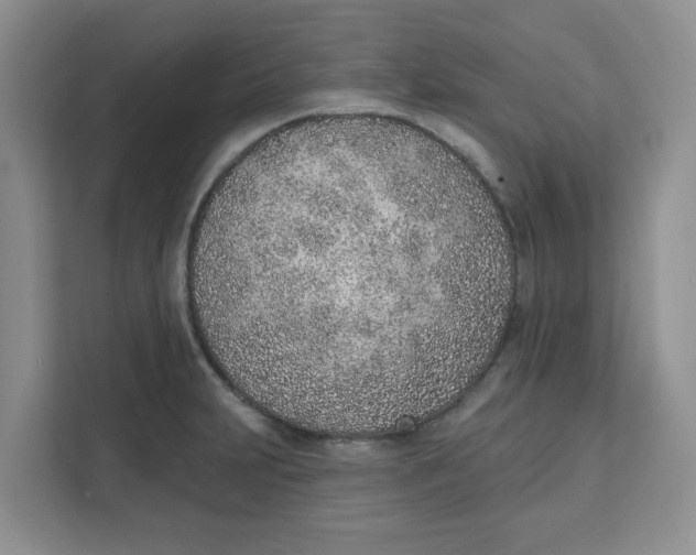 X0000111131231200907141204