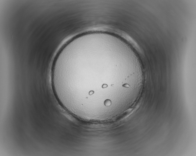 X0000111131232200907141204