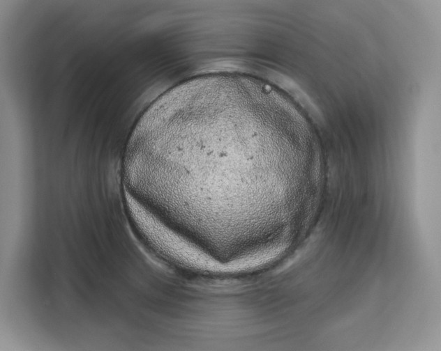 X0000111131233200907141204